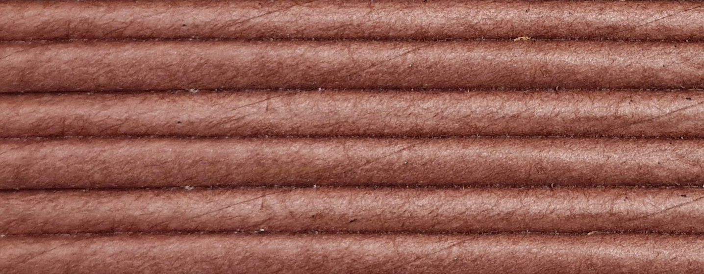 Koncentrát UNICOLOR 100ml - bosenská slivka 730