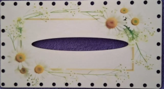 3D kapesníkovník s dierkami  UV tlač 3mm - 24,5x13cm - typ64