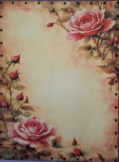 3D Obdĺžnikové dno 40x29,5cm UV tlač - č.16