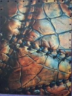 3D Obdĺžnikové dno 40x29,5cm UV tlač - č.34