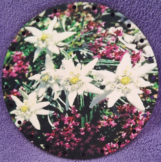 3D Kvety 20cm UV tlač - č.8