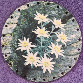 3D Kvety 10cm UV tlač - č.7