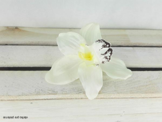 Kvet Orchidea cymbítko - 9cm