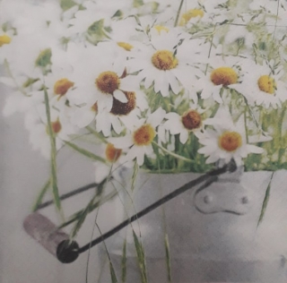 Servítka 221 - 33x33cm