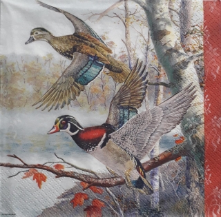 Servítka 57 - 33x33cm