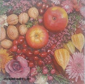 Servítka 53 - 33x33cm