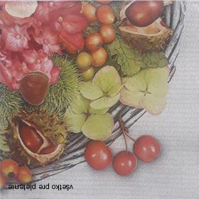 Servítka 51 - 33x33cm