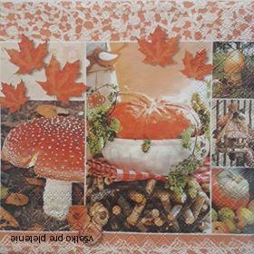 Servítka 47 - 33x33cm