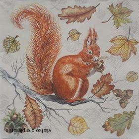 Servítka 48 - 33x33cm