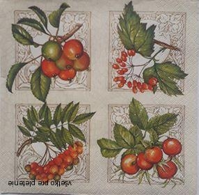 Servítka 46 - 33x33cm