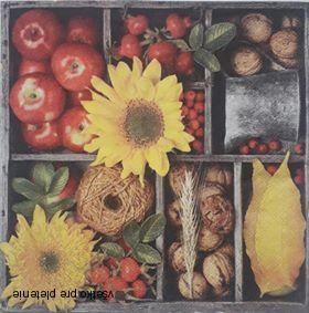 Servítka 43 - 33x33cm
