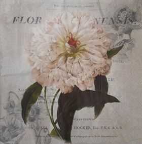 Servítka 315 - 33x33cm 