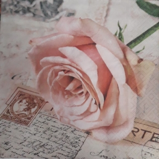 Servítka 121 - 33x33cm 
