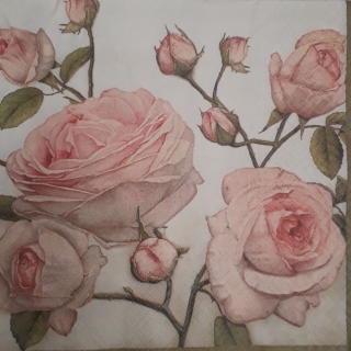 Servítka 126- 33x33cm 