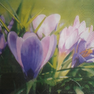 Servítka 328 - 33x33cm