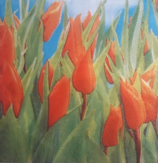 Servítka 329 - 33x33cm
