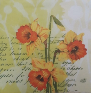 Servítka 335 - 33x33cm