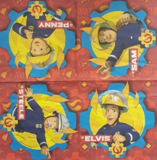 Servítka 878 - 33x33cm 