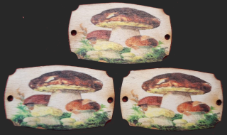 3D tabuľka s potlačou HRÍBY 5x3cm UV tlač